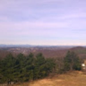 Meet your Posher, Travis